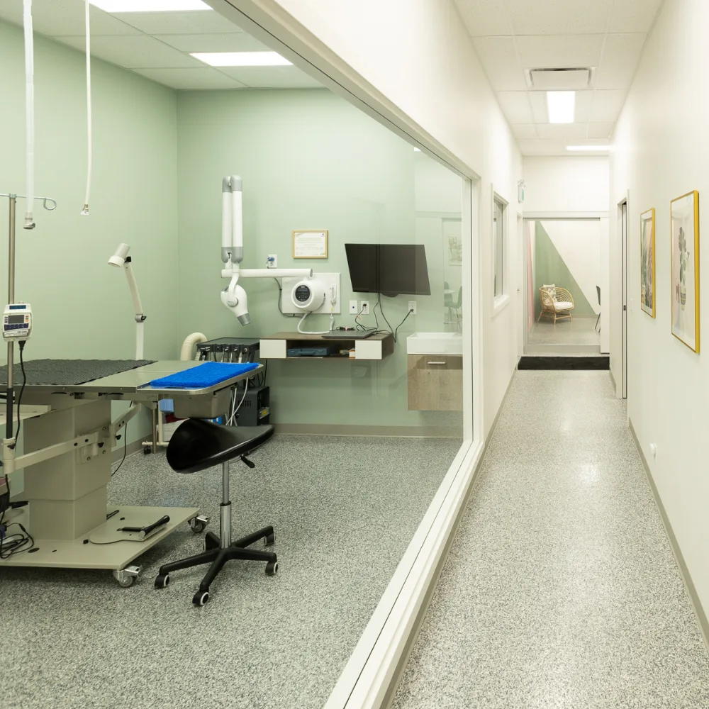 Healthcare Facilities